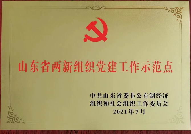山東省高新組織黨建工作示范點
